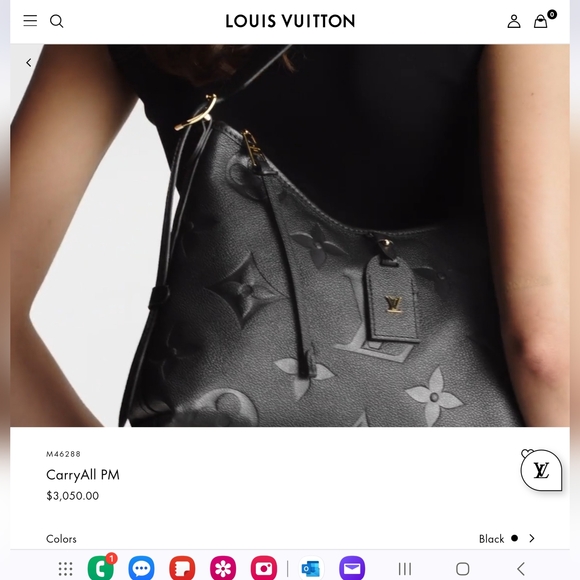 LOUIS VUITTON CARRYALL PM - Picture 3 of 17